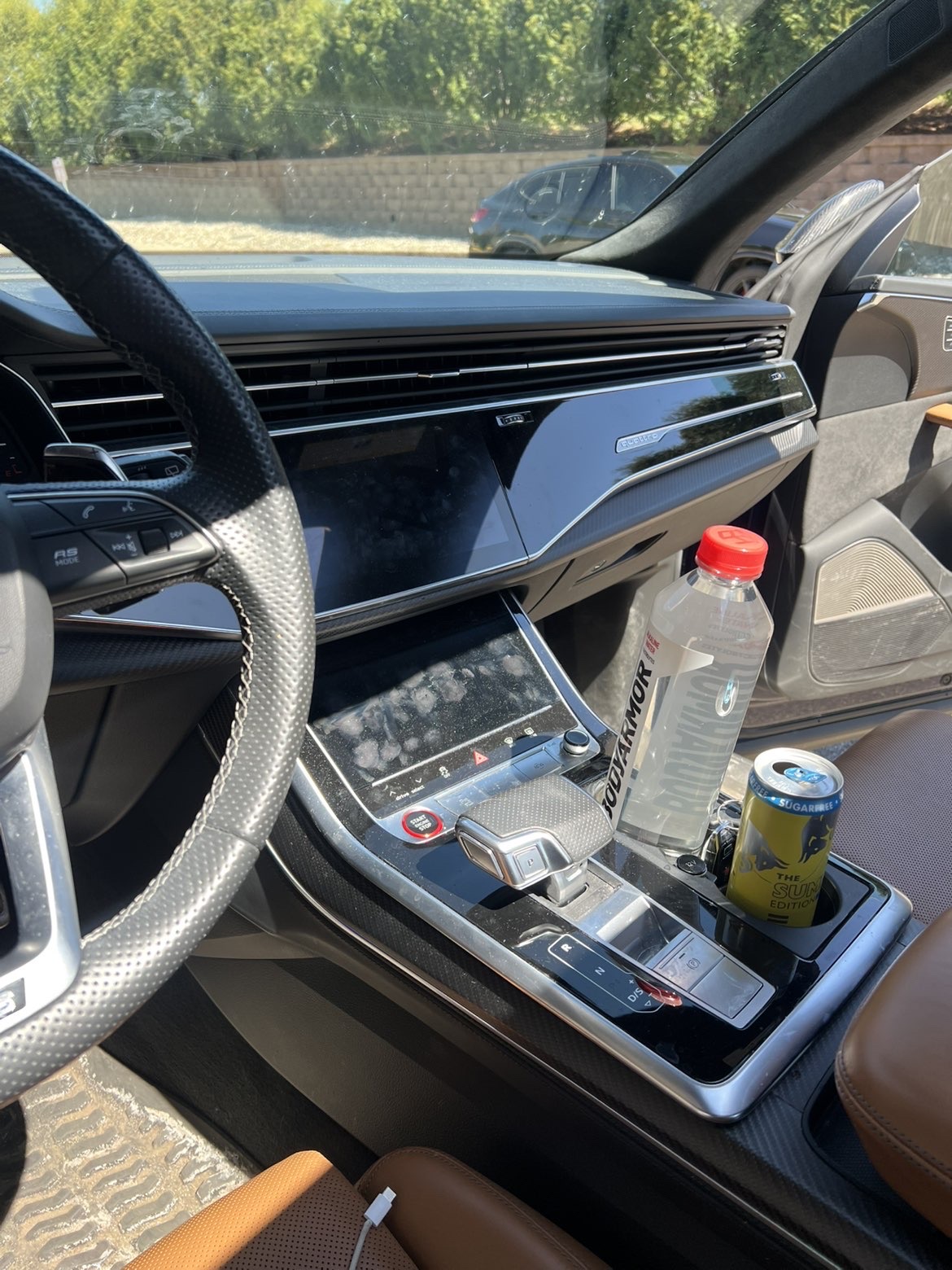 Audi RS Q8 interior before detail